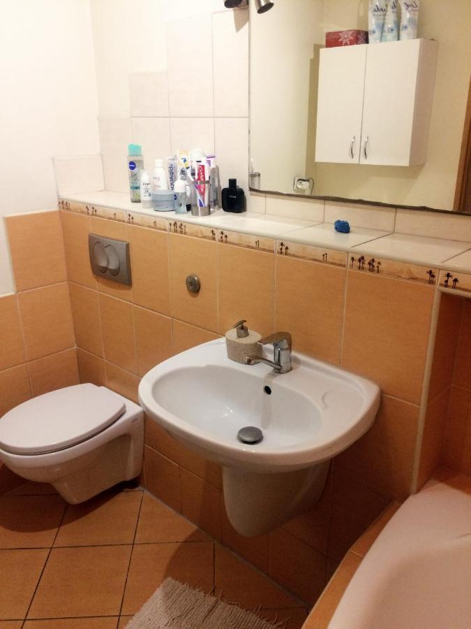 Nice Room, Комната, Pokoj Miedzy Airport Wro A Centrum Wrocław Extérieur photo